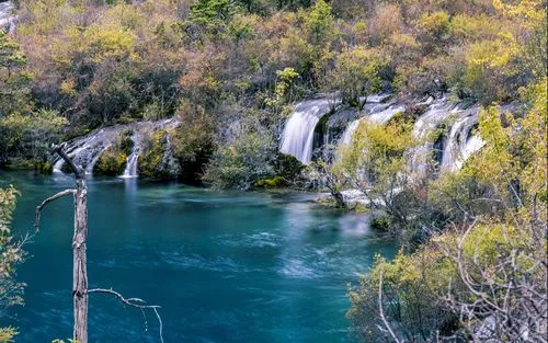 高端高端